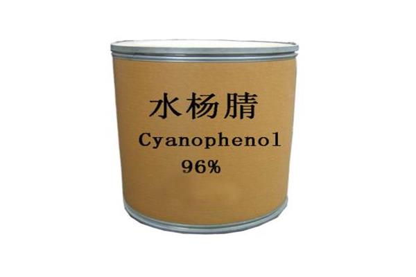 泰安有實(shí)力的2-氯-6-甲氧基甲苯價(jià)格